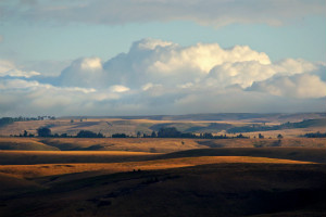 Ein Blick in die Landschaft um Mang'oto